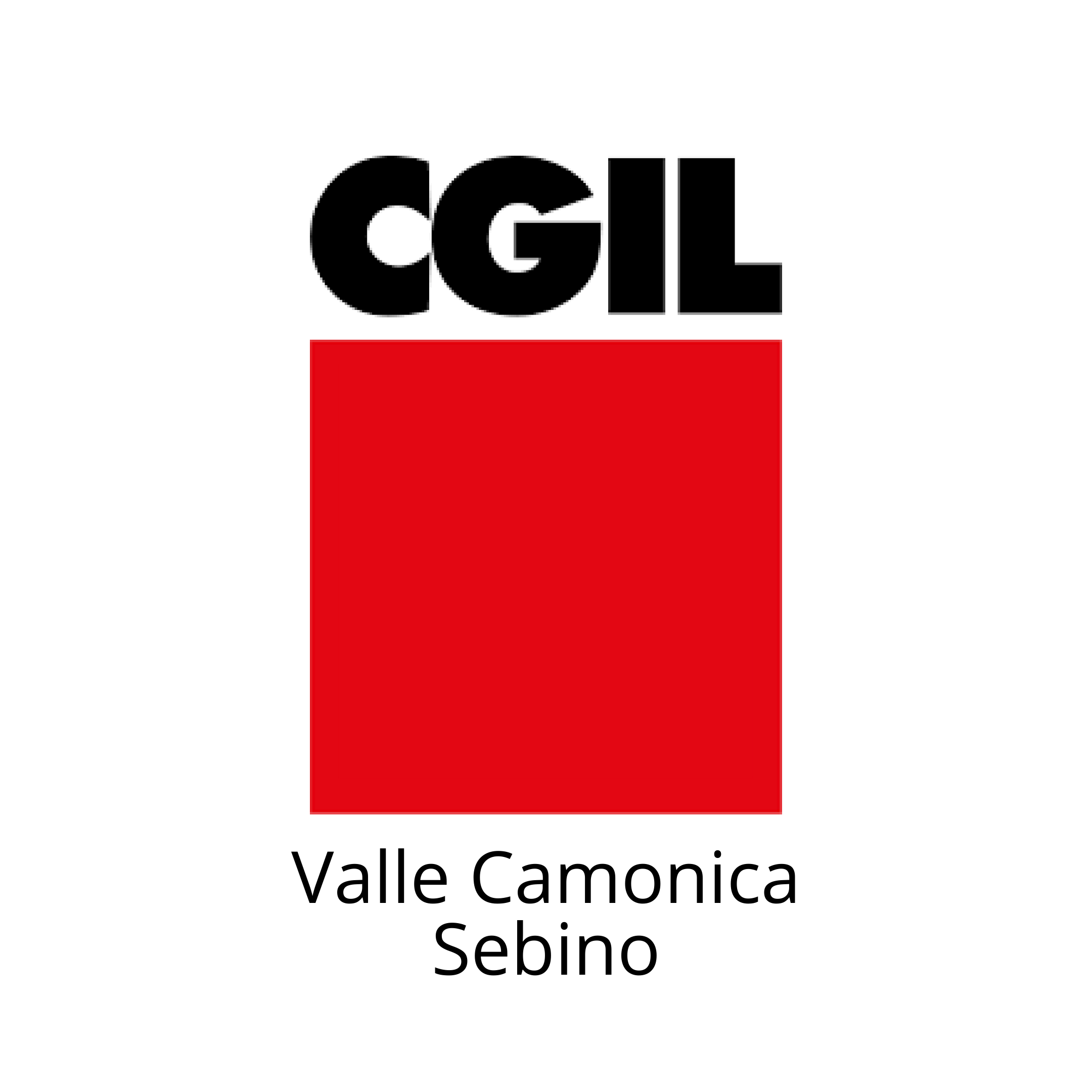 Logo CGIL Valle Camonica Sebino