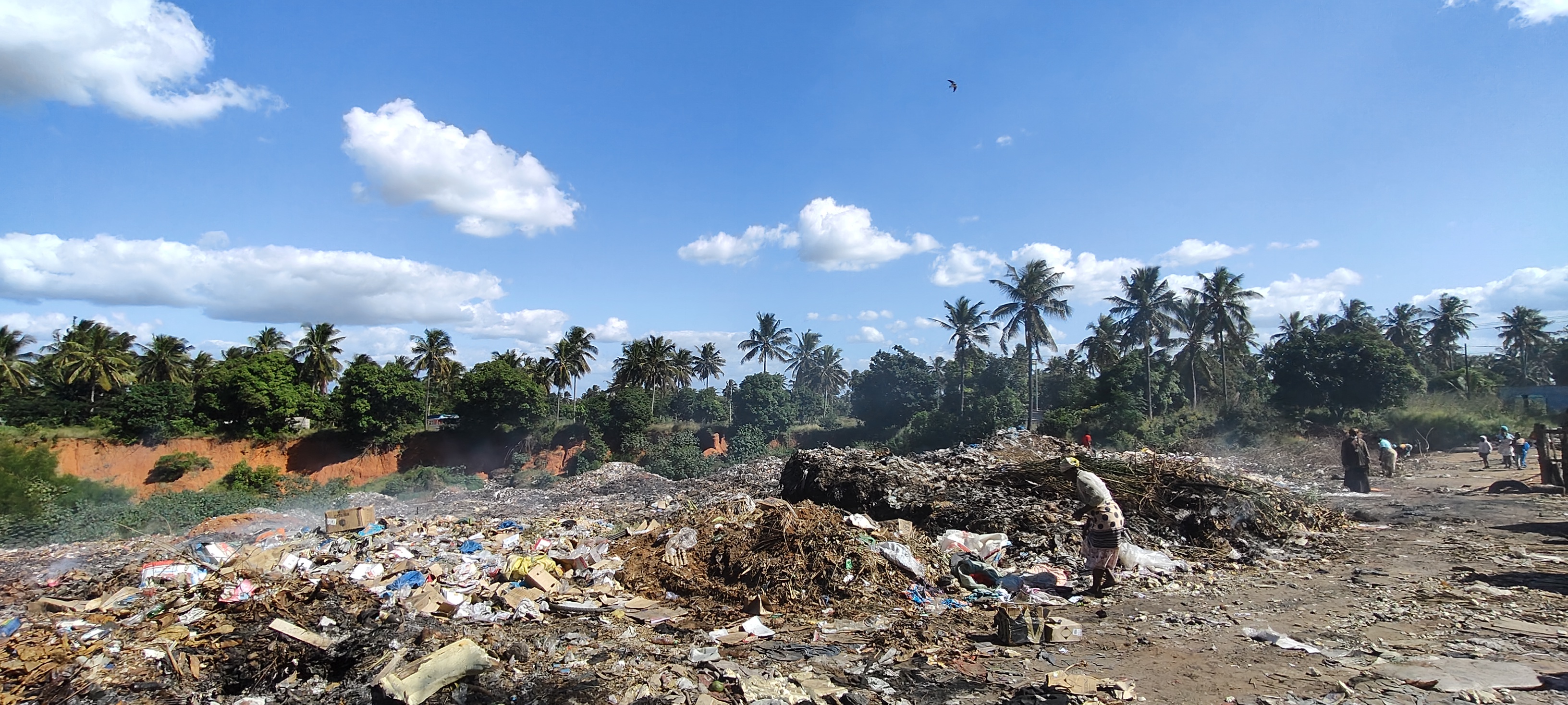 Mozambico - Salubrix