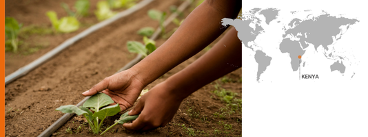 Kenya AICS Maisha Bora Copertina