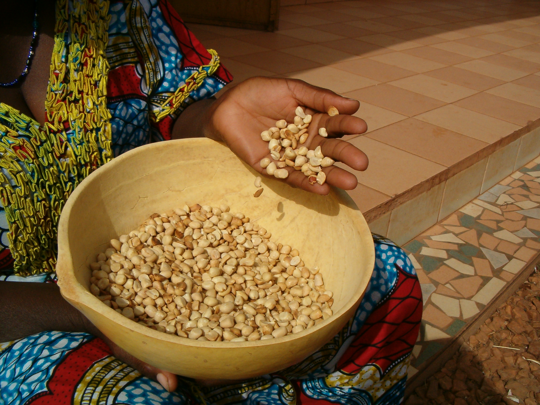 Burkina Faso - SANté: Sicurezza Alimentare e Nutrizione in Burkina Faso